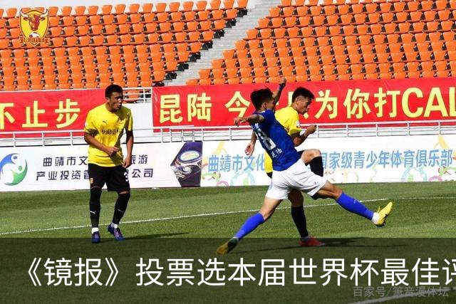 《镜报》投票选本届世界杯最佳评论员，鲁尼第一、内维尔垫底
